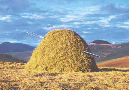 Needle in a haystack