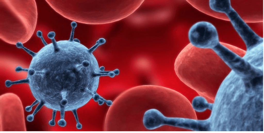 Red Blood Cells and Viruses