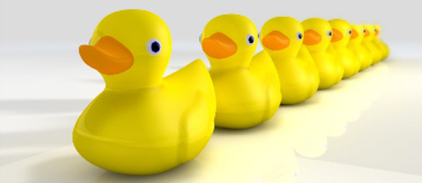 Yellow rubber ducks lined up in a row.