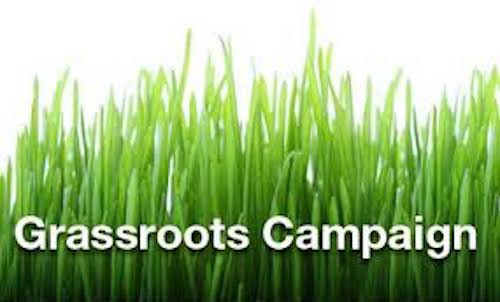 Grassroots Campaign text on green grass background.