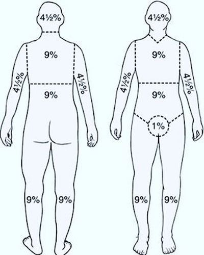 Body percentage chart front and back view.