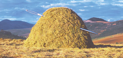 Haystack with two large needles inserted.