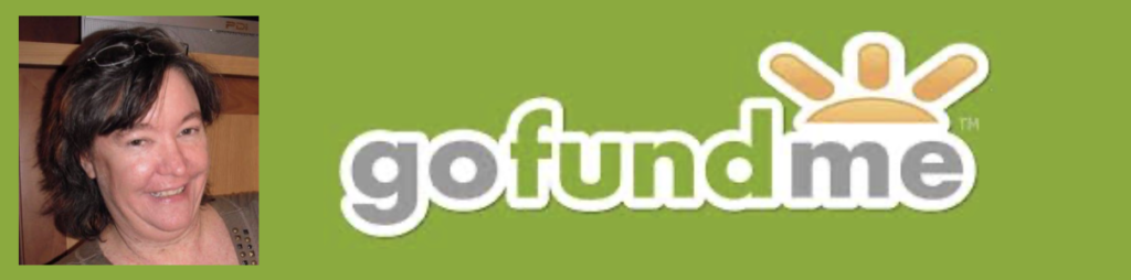 GoFundMe logo with a woman's photo.