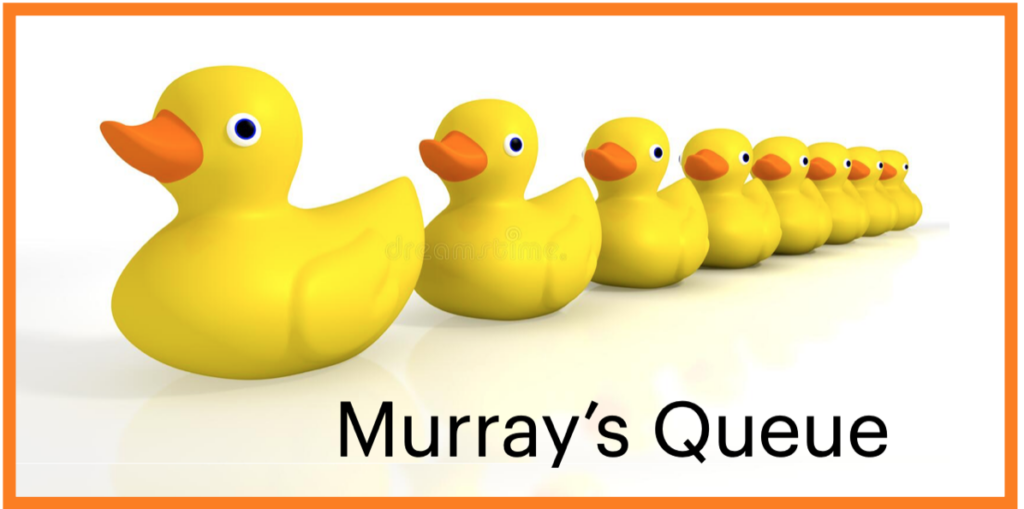 Yellow rubber ducks lined up in a row.