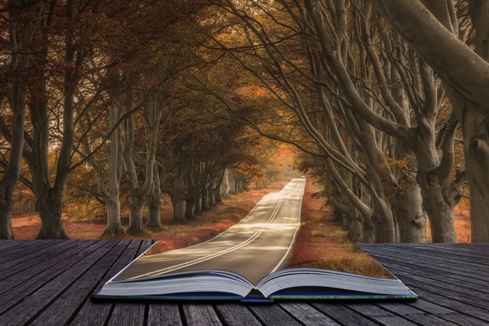 Open book with road through forest.