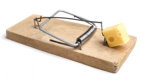 A mouse trap with cheese on it